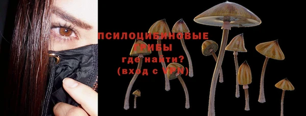 МДПВ Балахна
