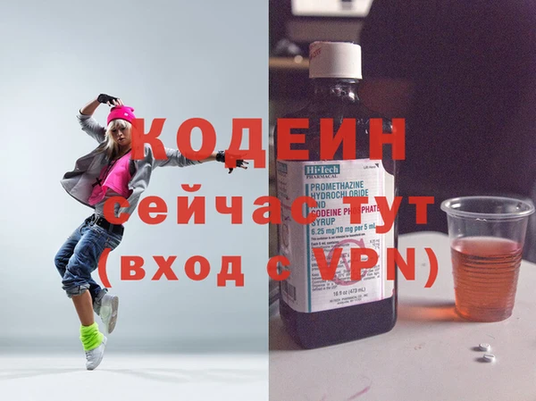 МДПВ Пересвет